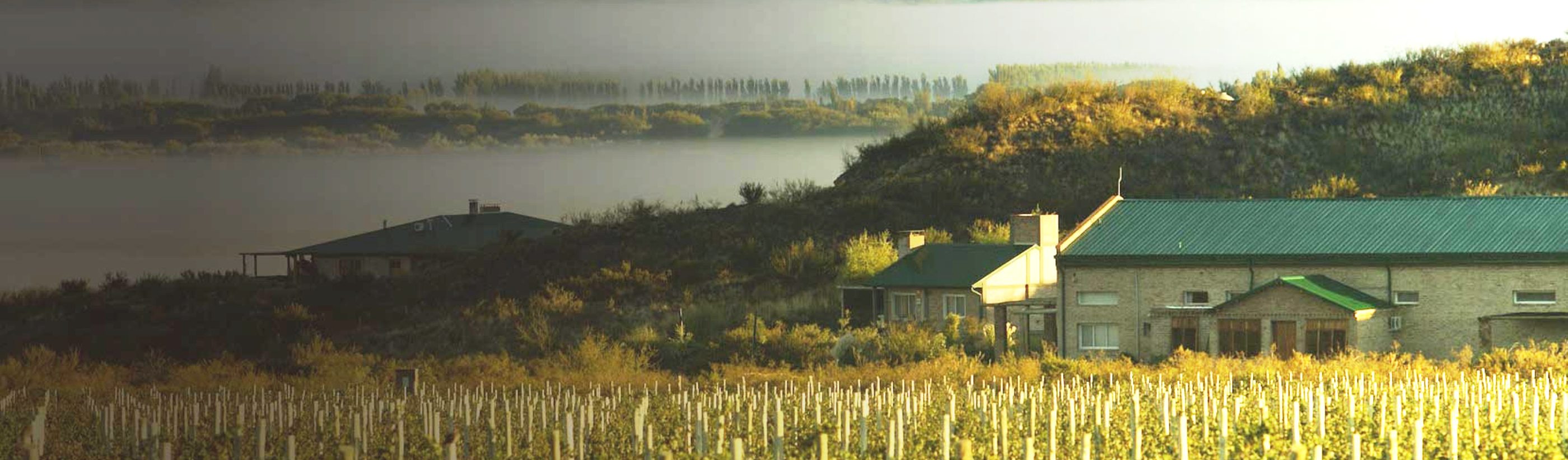 Bodega Noemia vins étrangers vins argentin
