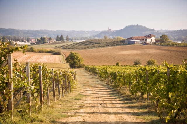 Olim Bauda Italie Piémont vins étrangers South World Wines