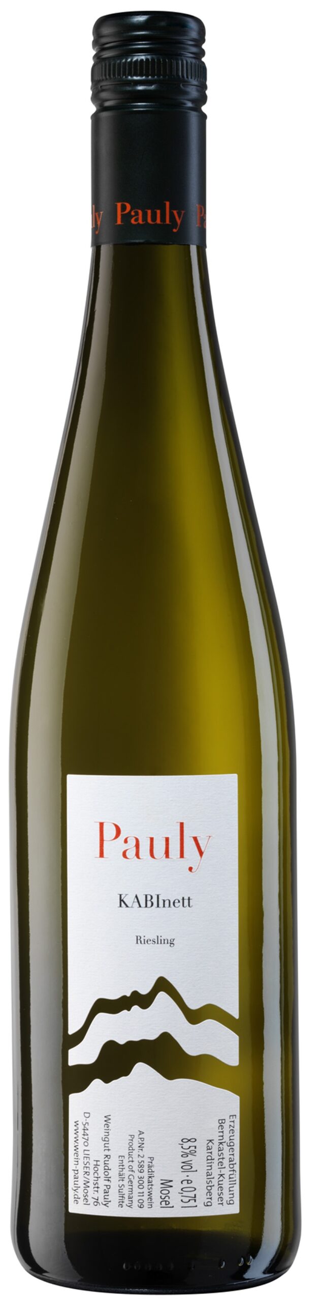 Vins Allemagne Riesling Axel Pauly vins étrangers South World Wines