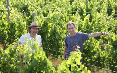 Baettig – Le Chili en Mode Haute Précision