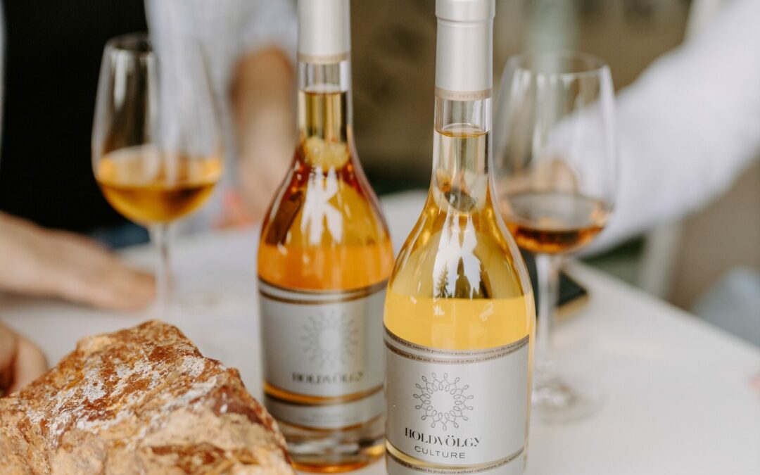 Holdvölgy Culture 2017 – Le nectar des coteaux volcaniques