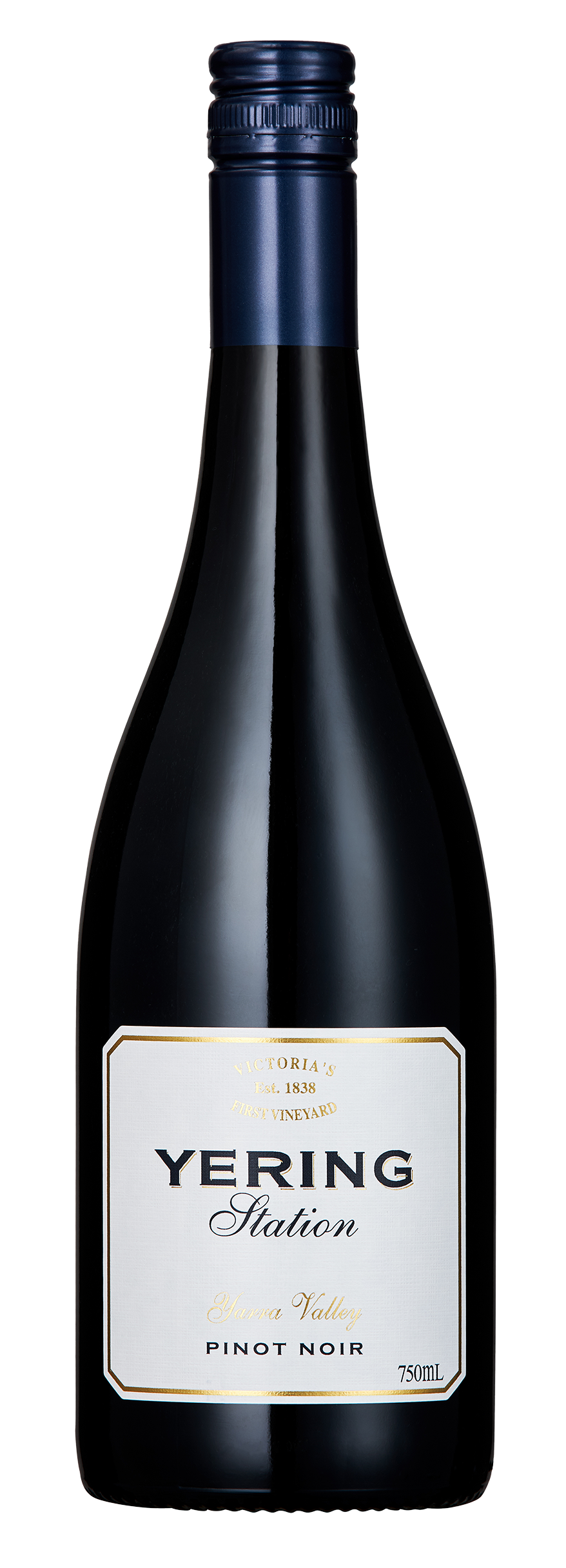vins Australie yarra yering. South World Wines vins du monde en France